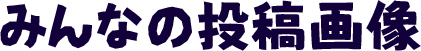 みんなの投稿画像